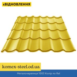 Металочерепиця 1003 Колір по Ral