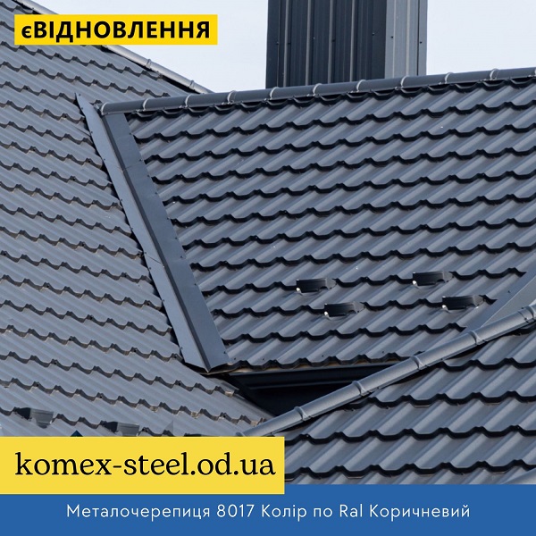 Металочерепиця 8017 Колір по Ral Коричневий