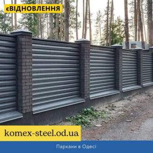 Паркани в Одесі
